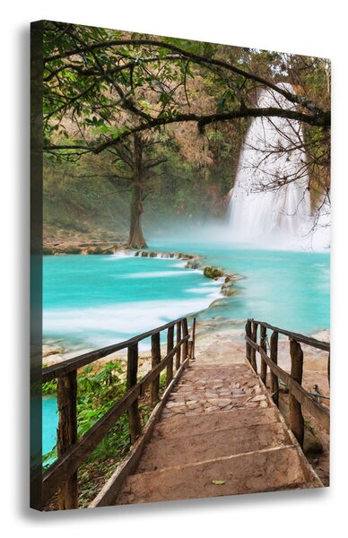 Print pe pânză cascada Mexic