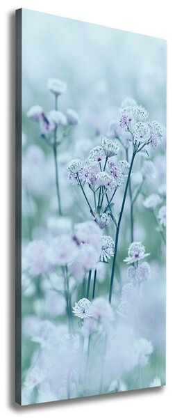 Pictură pe pânză Astrantia