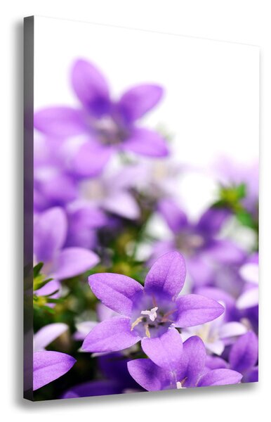 Imprimare tablou canvas clopote violet