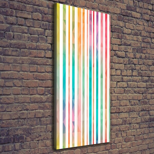 Tablou canvas dungi colorate