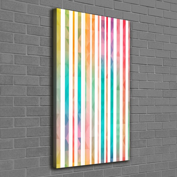 Tablou canvas dungi colorate
