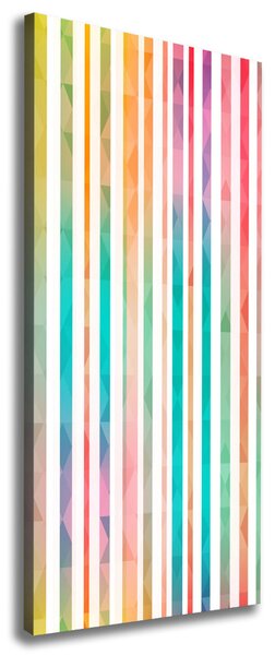 Tablou canvas dungi colorate
