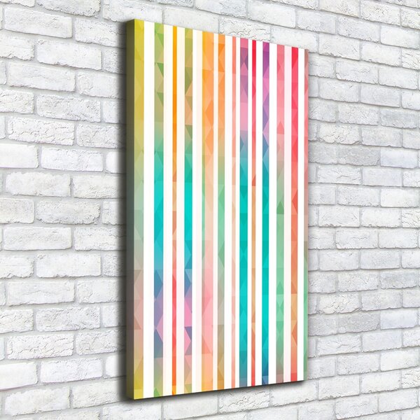 Tablou canvas dungi colorate