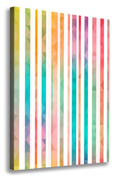 Tablou canvas dungi colorate