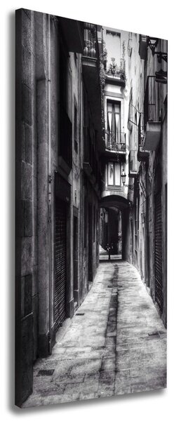 Tablou pe pânză Barcelona, Spania