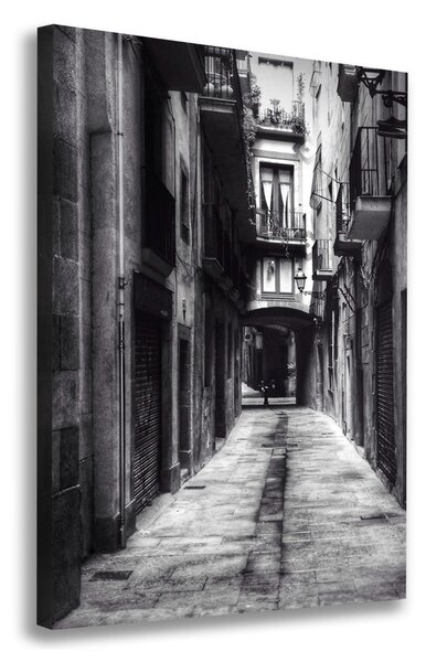 Tablou pe pânză Barcelona, Spania
