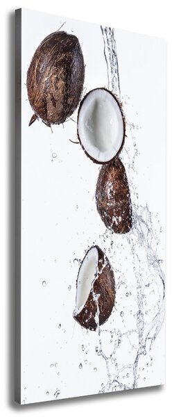 Imprimare tablou canvas nucă de cocos