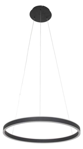 Steinhauer Ringlux lampă suspendată LED 2 becuri, Ø60cm negru, reglabil, Negru, Camera de zi / sufragerie, Metal, Modern