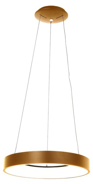 Steinhauer Ringlede lampă suspendată LED, Ø 48 cm, auriu, reglabil, Auriu / Alamă, Camera de zi / sufragerie, Metal, Modern