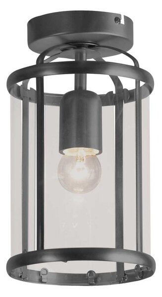 Steinhauer Plafonieră Pimpernel, negru, metal, sticlă, reglabil, Negru, Camera de zi / sufragerie, Metal, Antichitate