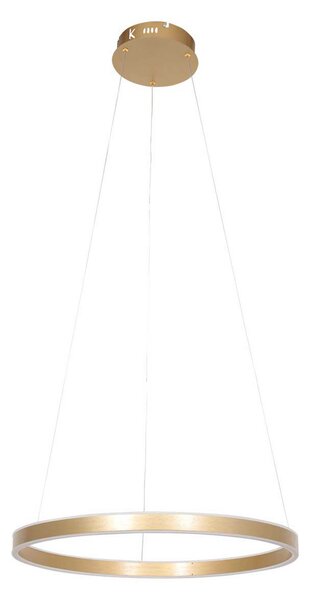 Steinhauer Ringlux lampă suspendată LED 2 becuri Ø60cm, auriu, reglabil, Auriu / Alamă, Camera de zi / sufragerie, Metal, Modern