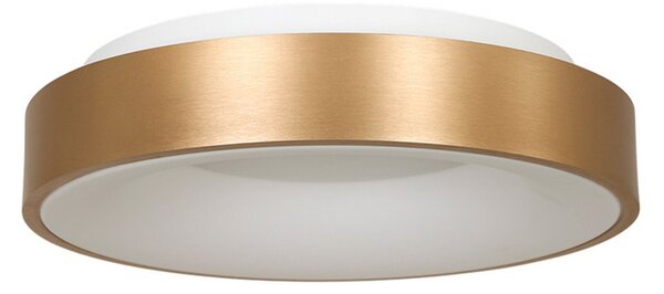 Steinhauer Plafonieră cu LED Ringlede 2.700 K Ø 30 cm auriu, reglabil, Auriu / Alamă, Camera de zi / sufragerie, Metal, Modern