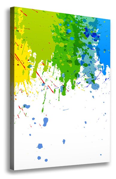 Tablouri tipărite pe pânză curcubeu abstract