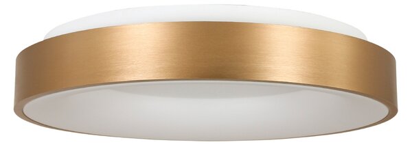 Steinhauer Plafonieră cu LED Ringlede 2.700 K Ø 48 cm auriu, reglabil, Auriu / Alamă, Camera de zi / sufragerie, Metal, Modern