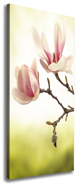 Imprimare tablou canvas flori magnolia