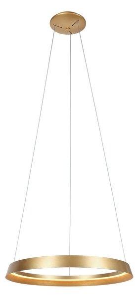 Steinhauer Lampă suspendată LED Ringlux, 1 bec, auriu, metal, reglabil, Auriu / Alamă, Camera de zi / sufragerie, Metal, Modern