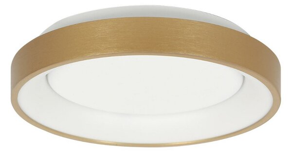 Steinhauer Plafonieră Ringlede LED, aurie, înălțime 6 cm, Ø 38 cm, Auriu / Alamă, Camera de zi / sufragerie, Metal, Modern