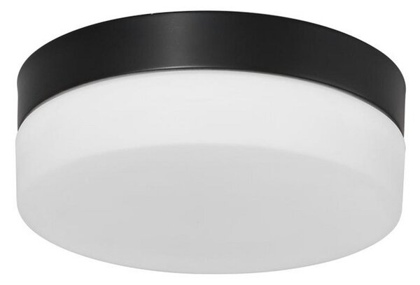 Steinhauer Plafonieră LED Ikaro negru, Ø 18 cm, metal, plastic, reglabil, Negru, Hol, Sticlă