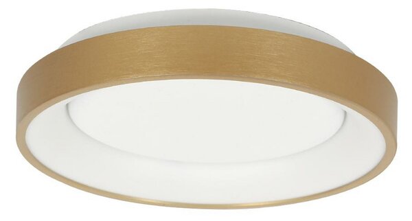 Steinhauer Plafonieră Ringlede LED, aurie, înălțime 6 cm, Ø 28 cm, Auriu / Alamă, Camera de zi / sufragerie, Metal, Modern