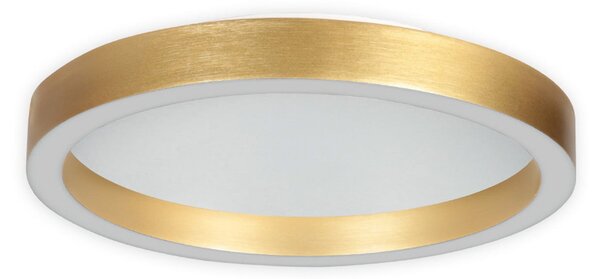 Steinhauer Plafonieră LED Ringlux auriu, Ø 40 cm, metal, 2.700 K, reglabil, Auriu / Alamă, Camera de zi / sufragerie, Metal, Modern