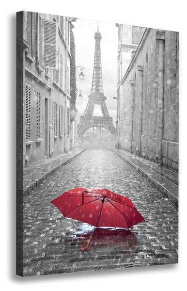 Pictură pe pânză umbrelă Franța