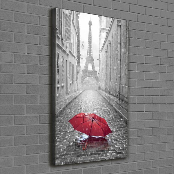 Pictură pe pânză umbrelă Franța