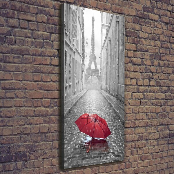 Pictură pe pânză umbrelă Franța