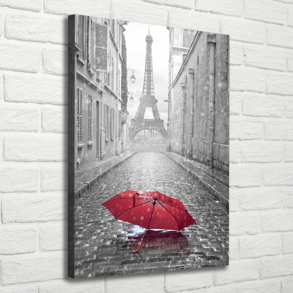 Pictură pe pânză umbrelă Franța