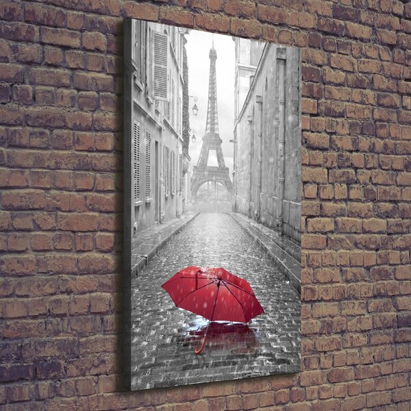 Pictură pe pânză umbrelă Franța