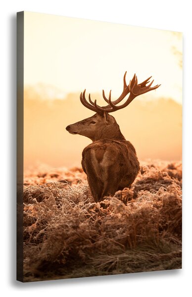 Tablouri tipărite pe pânză Sunrise Deer