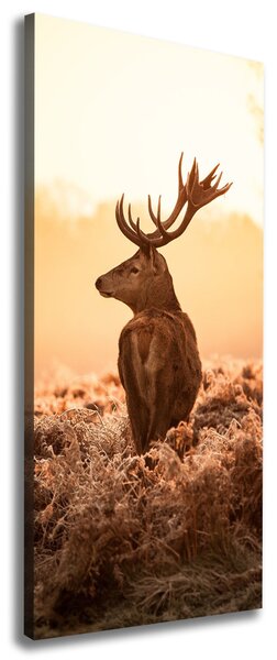 Tablouri tipărite pe pânză Sunrise Deer