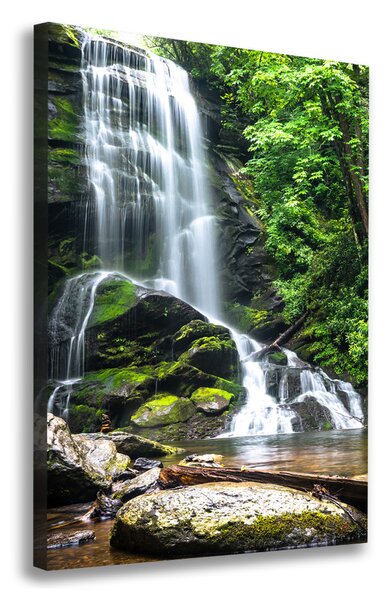Pictură pe pânză Cascada din junglă