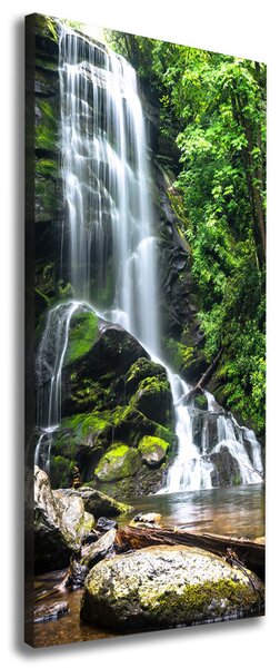 Pictură pe pânză Cascada din junglă
