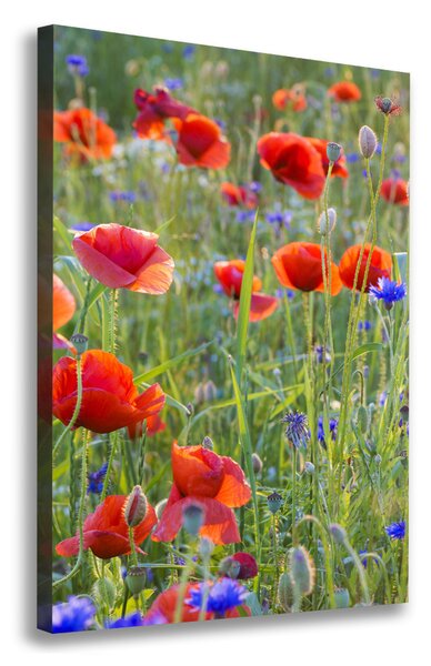 Print pe canvas wildflowers maci