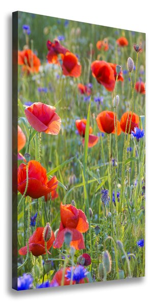 Print pe canvas wildflowers maci