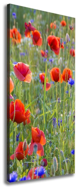 Print pe canvas wildflowers maci