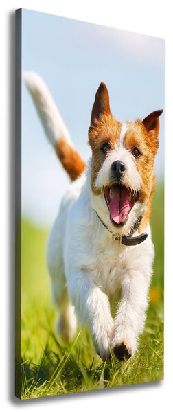 Tablouri tipărite pe pânză câine Jack Russell