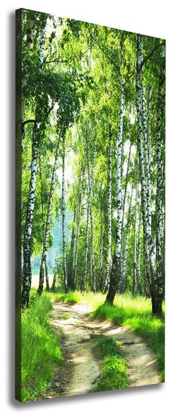 Imprimare tablou canvas pădurea de mesteacăn