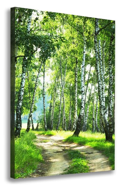 Imprimare tablou canvas pădurea de mesteacăn