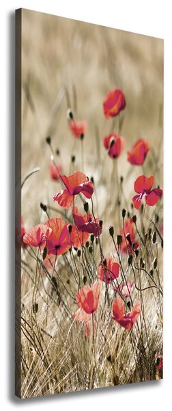 Imprimare tablou canvas flori de câmp