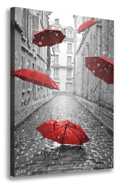 Pictură pe pânză umbrelă Franța