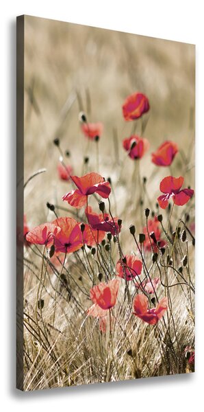 Imprimare tablou canvas flori de câmp