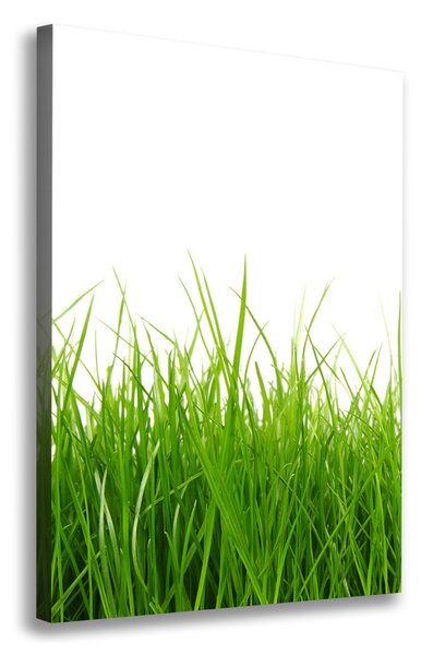 Print pe canvas iarbă verde