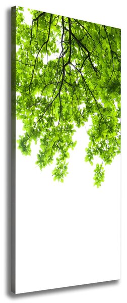 Tablou canvas ramuri superioare ale unui copac