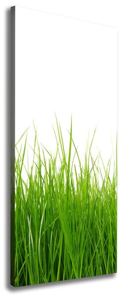 Print pe canvas iarbă verde