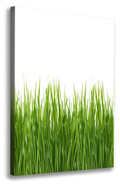 Imprimare tablou canvas iarbă verde