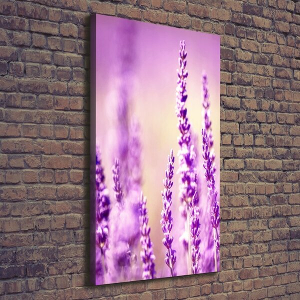 Tablou pe pânză canvas Lavandă