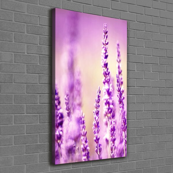 Tablou pe pânză canvas Lavandă