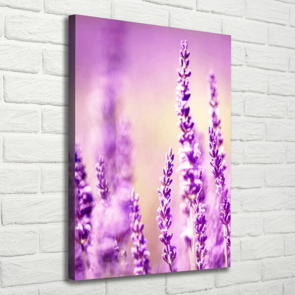 Tablou pe pânză canvas Lavandă