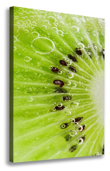 Pictură pe pânză kiwi